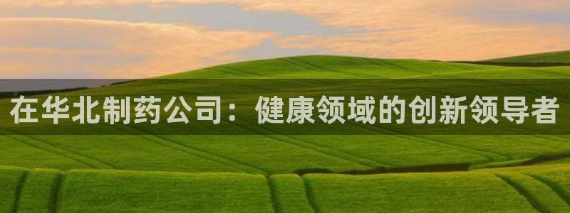 ag九游会老哥：在华北制药公司：健康领域的创新领导者