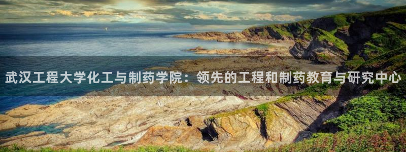九游会老哥俱乐部社区论坛：武汉工程大学化工与制药学院：领先的工程和制药教育与研究中心
