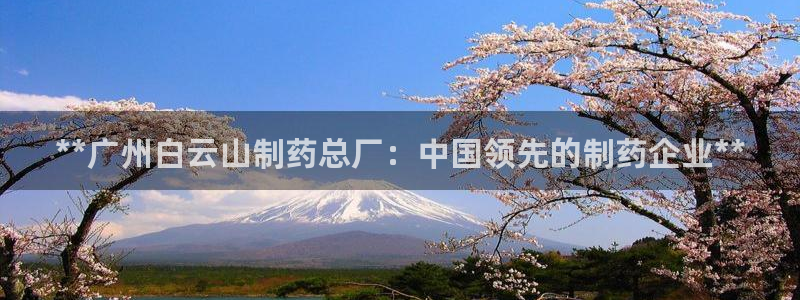 ag九游老哥俱乐部：**广州白云山制药总厂：中国领先的制药企业**