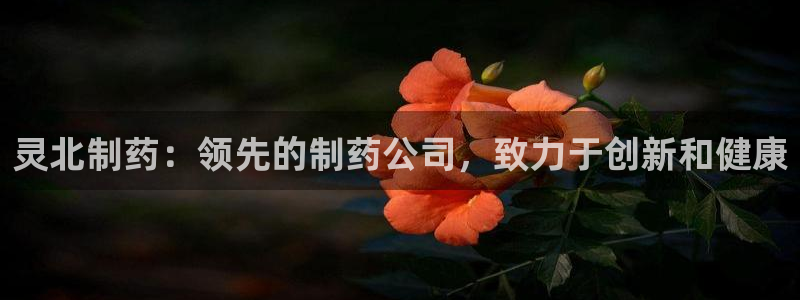 9游会老哥：灵北制药：领先的制药公司，致力于创新和健康