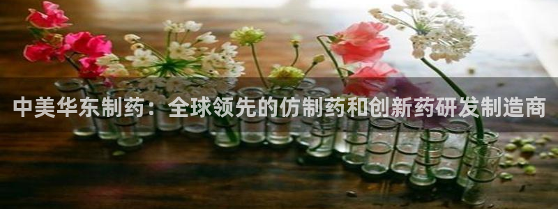 九游会老哥俱乐部必备的交流社区：中美华东制药：全球领先的仿制药和创新药研发制造商
