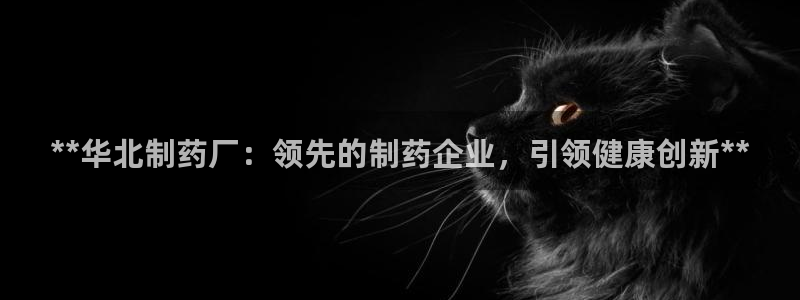 九游会老哥俱乐部官网首页：**华北制药厂：领先的制药企业，引领健康创新**