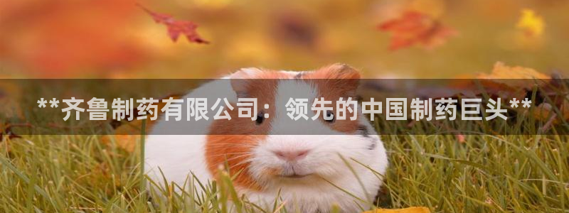 九游会老哥俱乐部：**齐鲁制药有限公司：领先的中国制药巨头**