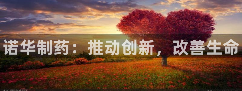 ag九游会老哥