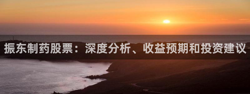 ag九游会老哥：振东制药股票：深度分析、收益预期和投资建议