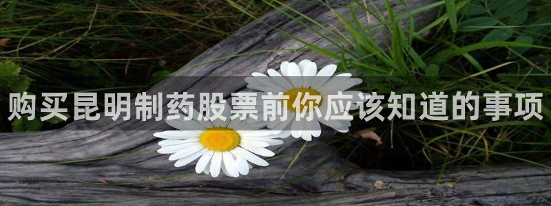 老哥吧九游会下架吗