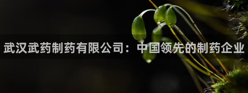 9游会老哥俱乐部：武汉武药制药有限公司：中国领先的制药企业