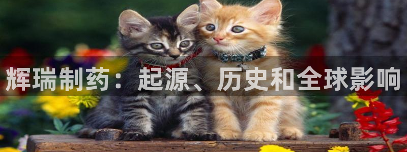 ag九游老哥俱乐部：辉瑞制药：起源、历史和全球影响