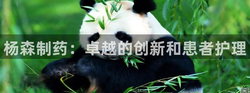 九游会老哥必备的交流社区九：杨森制药：卓越的创新和患者护理
