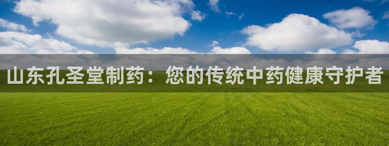 九游会老哥俱乐部必备的交流社区：山东孔圣堂制药：您的传统中药健康守护者