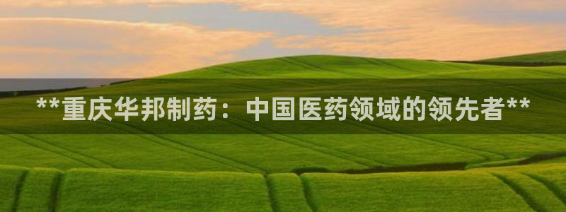 九游会老哥必备的交流社区：**重庆华邦制药：中国医药领域的领先者**