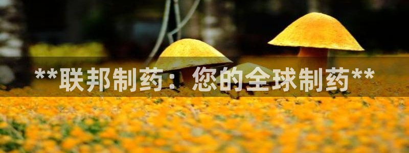 九游会老哥俱乐部官网：**联邦制药：您的全球制药**