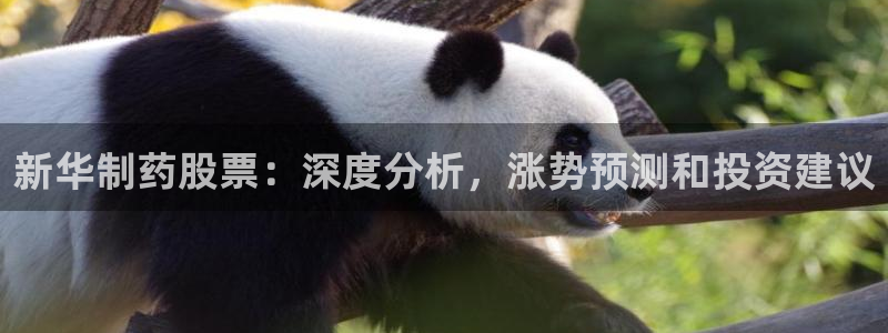 九游会老哥俱乐部官网