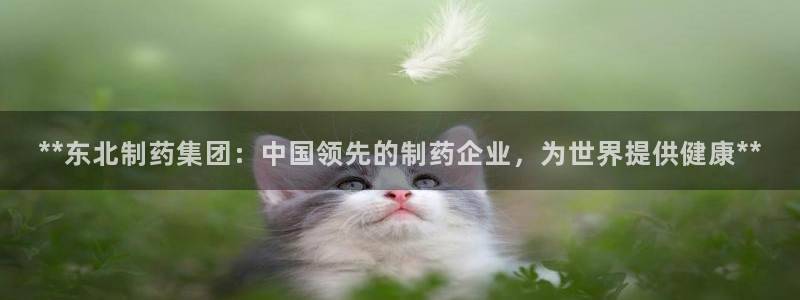 九游会老哥俱乐部官网：**东北制药集团：中国领先的制药企业，为世界提供健康**