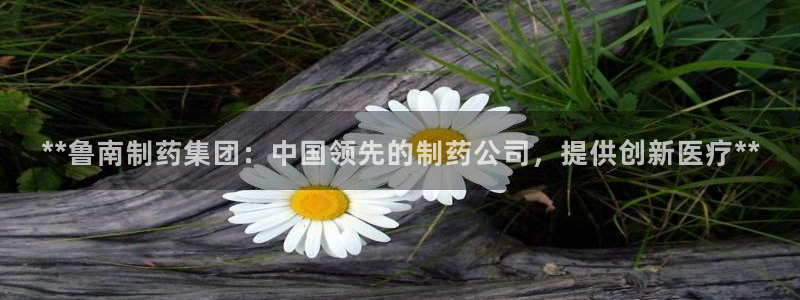 ag九游会老哥：**鲁南制药集团：中国领先的制药公司，提供创新医疗**
