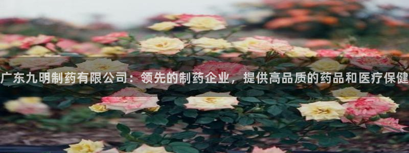 9游会老哥：广东九明制药有限公司：领先的制药企业，提供高品质的药品和医疗保健