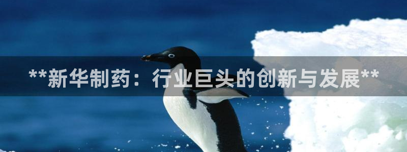 九游老哥俱乐部官网登录：**新华制药：行业巨头的创新与发展**
