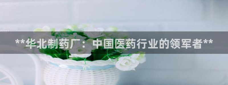 九游会老哥俱乐部必备的交流社区论坛：**华北制药厂：中国医药行业的领军者**