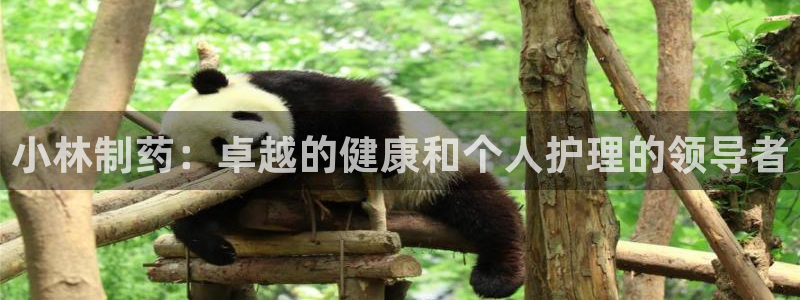 九游会老哥俱乐部官网：小林制药：卓越的健康和个人护理的领导者