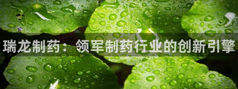 九游会老哥俱乐部官方网站：瑞龙制药：领军制药行业的创新引擎
