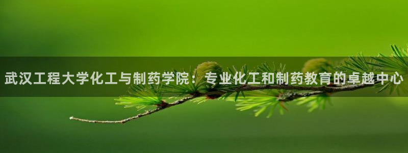 九游会老哥俱乐部官网首页论坛：武汉工程大学化工与制药学院：专业化工和制药教育的卓越中心