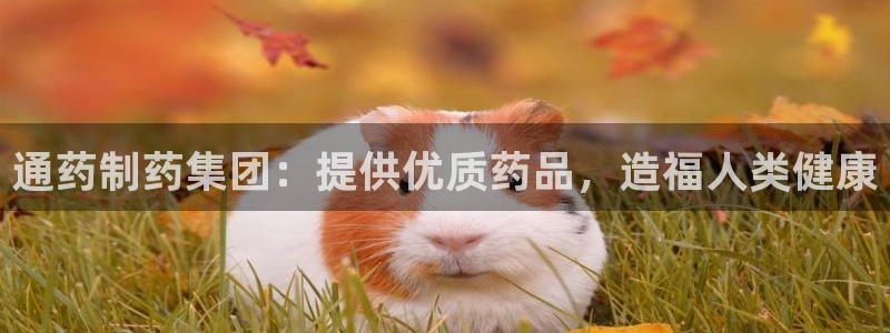 九游会老哥俱乐部：通药制药集团：提供优质药品，造福人类健康