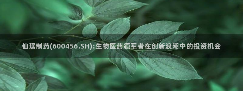 九游会老哥：仙琚制药(600456.SH):生物医药领军者在创新浪潮中的投资机会
