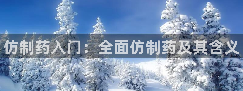 老哥吧九游会：仿制药入门：全面仿制药及其含义