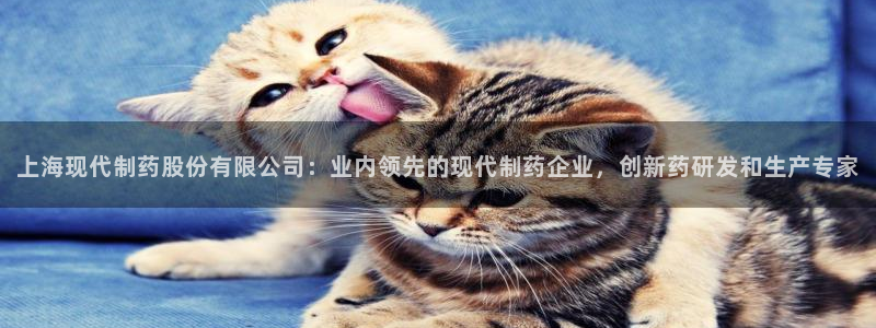 老哥吧九游会：上海现代制药股份有限公司：业内领先的现代制药企业，创新药研发和生产专家