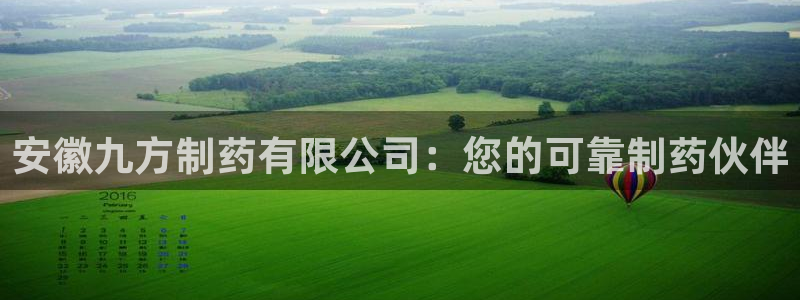 9游会老哥：安徽九方制药有限公司：您的可靠制药伙伴