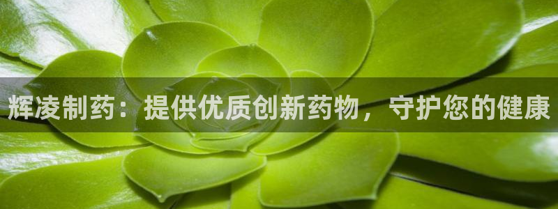 九游会老哥俱乐部：辉凌制药：提供优质创新药物，守护您的健康