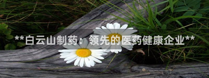九游老哥俱乐部官网登录：**白云山制药：领先的医药健康企业**
