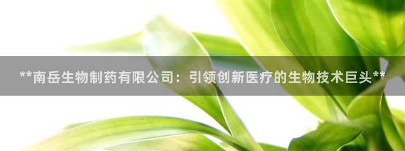 九游会老哥俱乐部官网首页论坛：**南岳生物制药有限公司：引领创新医疗的生物技术巨头**