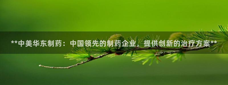 九游会老哥俱乐部必备的交流社区：**中美华东制药：中国领先的制药企业，提供创新的治疗方案**