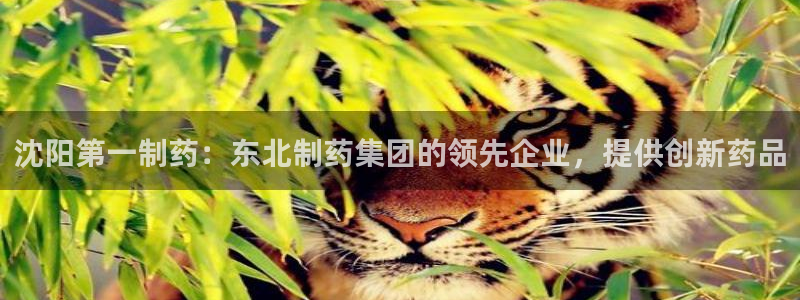 usdt九游会老哥俱乐部：沈阳第一制药：东北制药集团的领先企业，提供创新药品