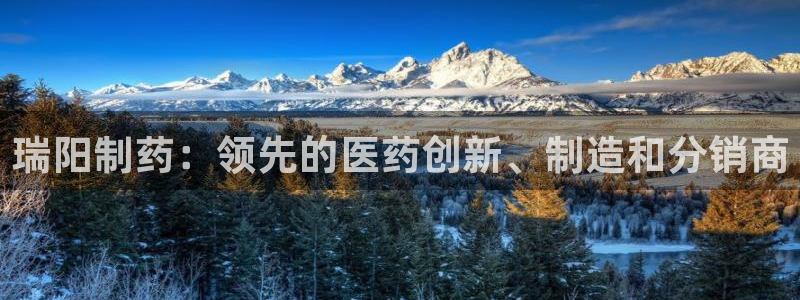 9游会老哥：瑞阳制药：领先的医药创新、制造和分销商