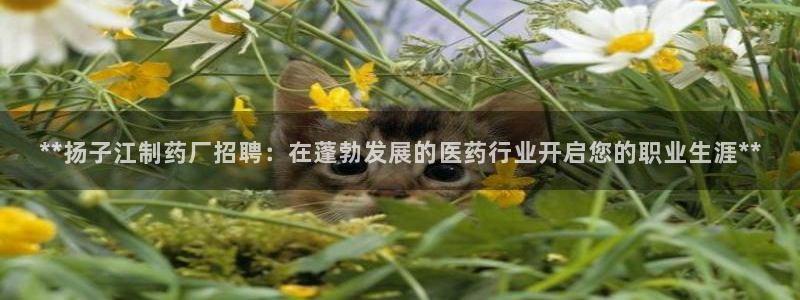 九游老哥俱乐部官网登录入口：**扬子江制药厂招聘：在蓬勃发展的医药行业开启您的职业生涯**