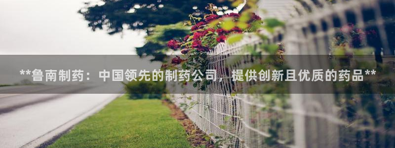 九游会老哥俱乐部必备的交流社区论坛：**鲁南制药：中国领先的制药公司，提供创新且优质的药品**