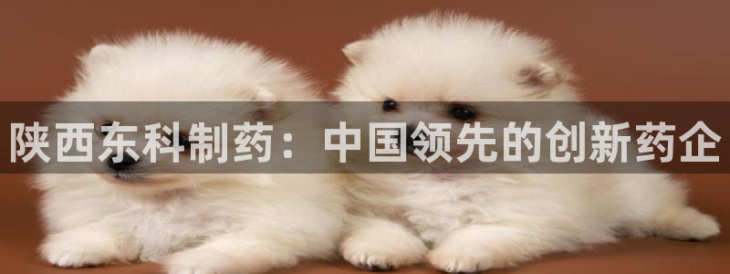 九游会老哥俱乐部交流社区：陕西东科制药：中国领先的创新药企