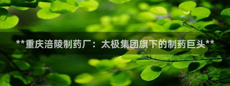 九游会老哥：**重庆涪陵制药厂：太极集团旗下的制药巨头**