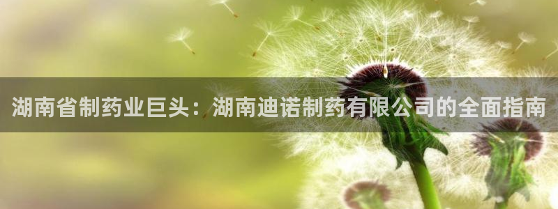 老哥俱乐部是干什么的：湖南省制药业巨头：湖南迪诺制药有限公司的全面指南