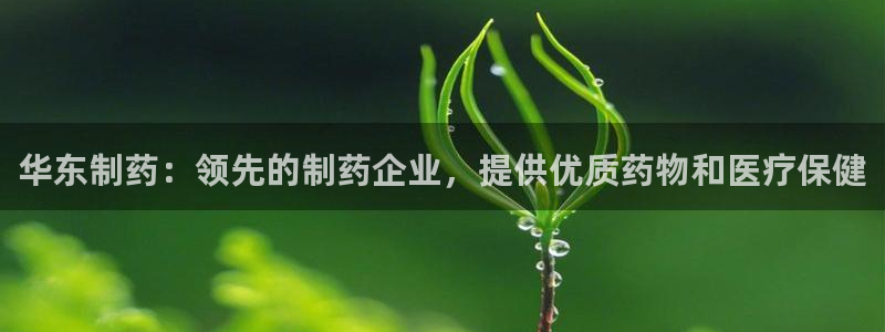 老哥吧九游会：华东制药：领先的制药企业，提供优质药物和医疗保健