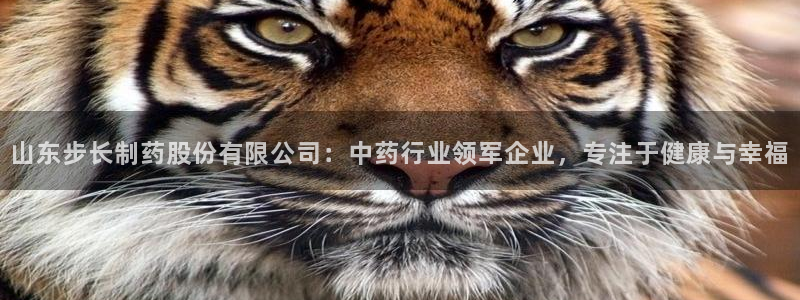 九游会老哥俱乐部：山东步长制药股份有限公司：中药行业领军企业，专注于健康与幸福