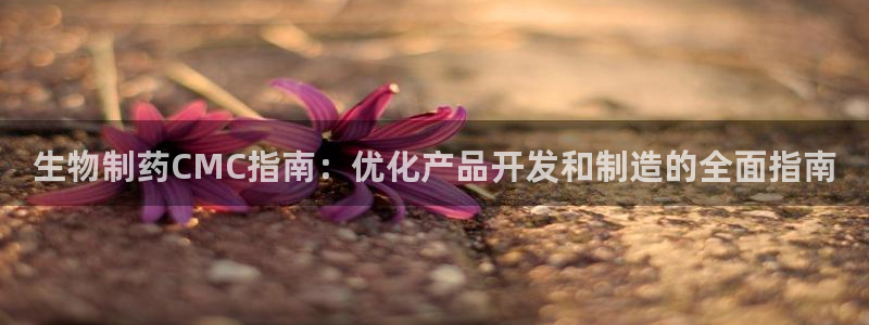 九游会老哥俱乐部官网：生物制药CMC指南：优化产品开发和制造的全面指南