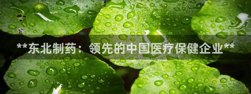 九游会老哥俱乐部社区论坛：**东北制药：领先的中国医疗保健企业**