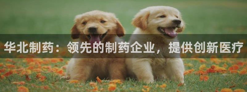 九游会老哥俱乐部官方网站：华北制药：领先的制药企业，提供创新医疗