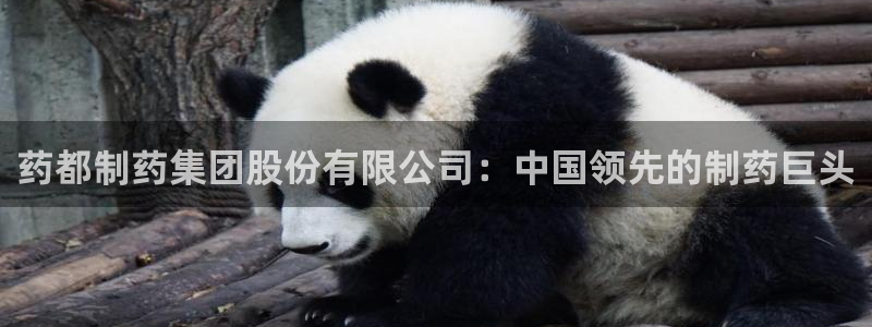 九游会老哥俱乐部必备的交流社区：药都制药集团股份有限公司：中国领先的制药巨头