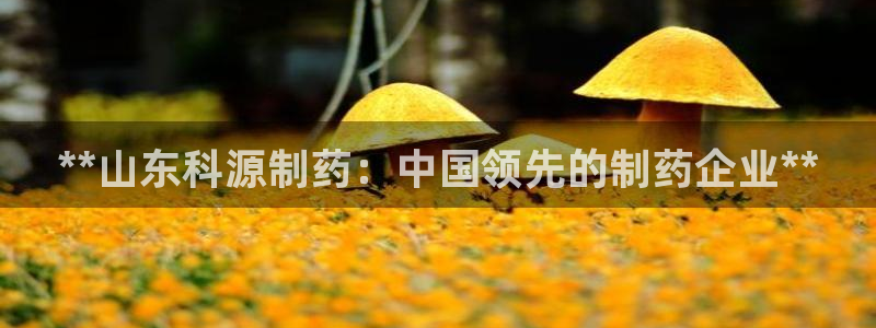 九游老哥俱乐部登录：**山东科源制药：中国领先的制药企业**