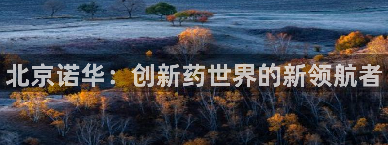 ag九游会老哥：北京诺华：创新药世界的新领航者