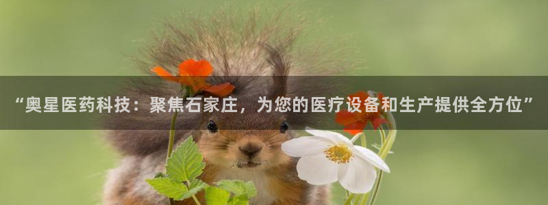 九游会老哥必备的交流社区九：“奥星医药科技：聚焦石家庄，为您的医疗设备和生产提供全方位”